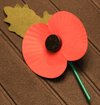 20081111_remembranceday1_2